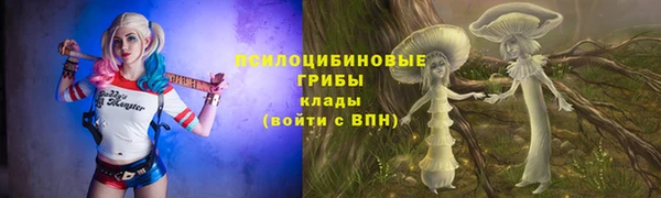 бутират Алексин