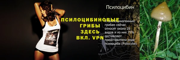 кокаин премиум Алексеевка