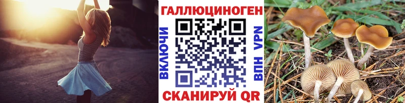 Галлюциногенные грибы MAGIC MUSHROOMS  Котлас 