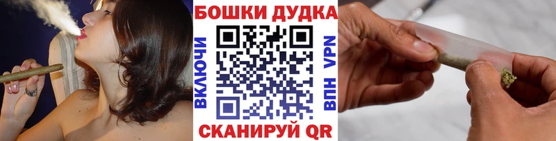 это Telegram MEGA вход Котлас Бошки марихуана сатива